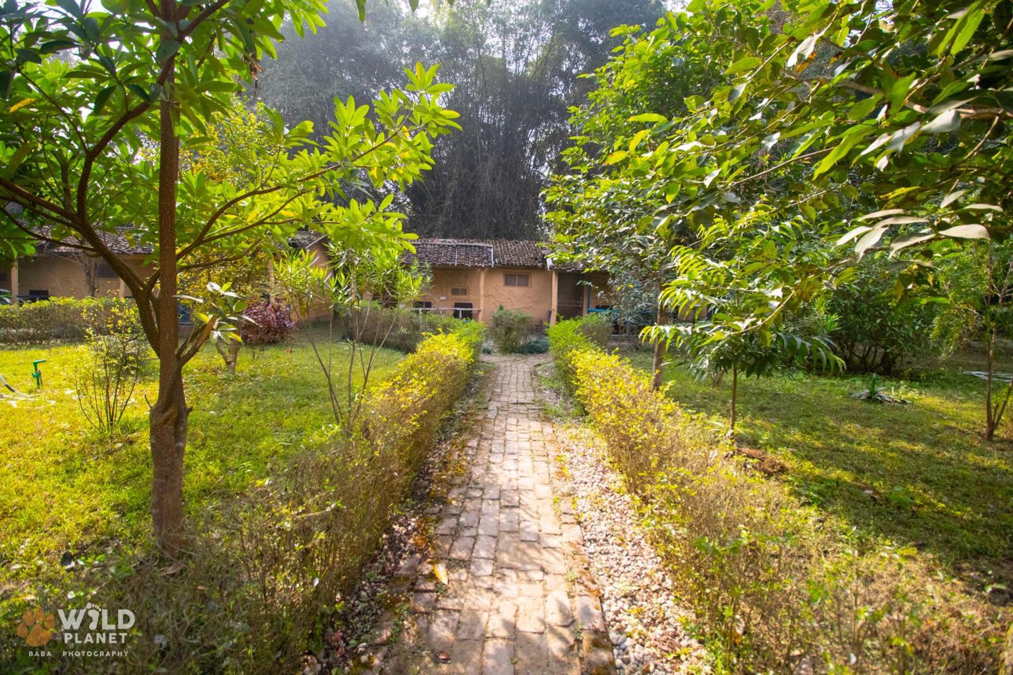 Wild Planet Eco Retreat Hotel Bardiya Exterior photo